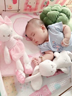 Thỏ Mamas, Gấu Mamas