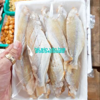 Cá đù 1 nắng loại ngon