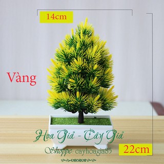 Cây Giả -  Cây Thông Để Bàn