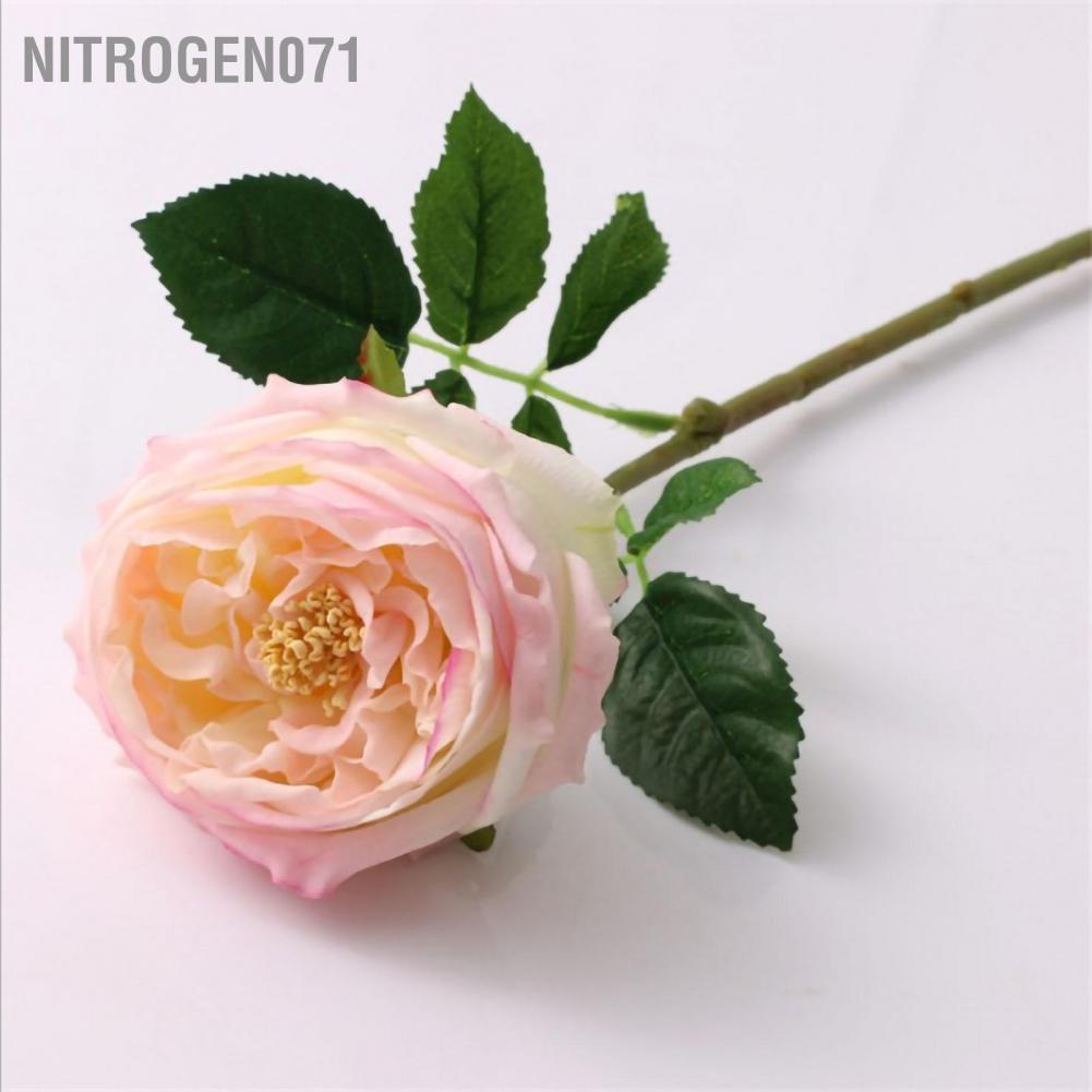 Nitrogen071 Hoa mô phỏng Phong cách Châu Âu Chất liệu giữ ẩm Cảm nhận Hoa hồng Trang trí bàn phòng khách