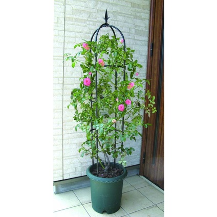 Tháp Chuông - Khung giá đỡ hoa hồng - Khung trồng cây hoa leo