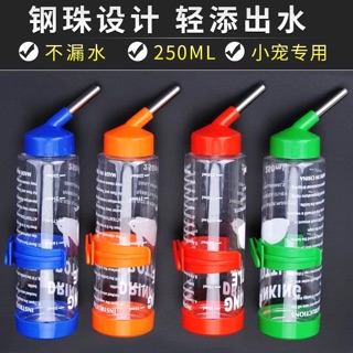 Bình nước uống dành cho thú cưng