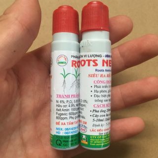 Ra rễ cực mạnh