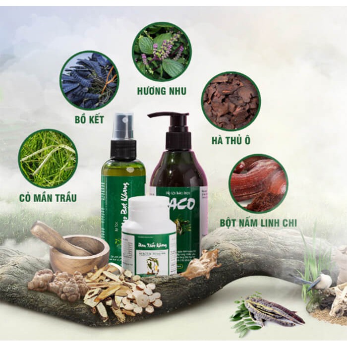 Dầu gội thảo dược Haco 300ml-ngăn ngừa rụng tóc, kích thích sự phát triển của nang tóc/Hàng chính hãng | BigBuy360 - bigbuy360.vn