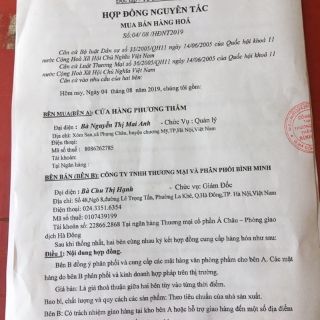 Bút máy Thiên long