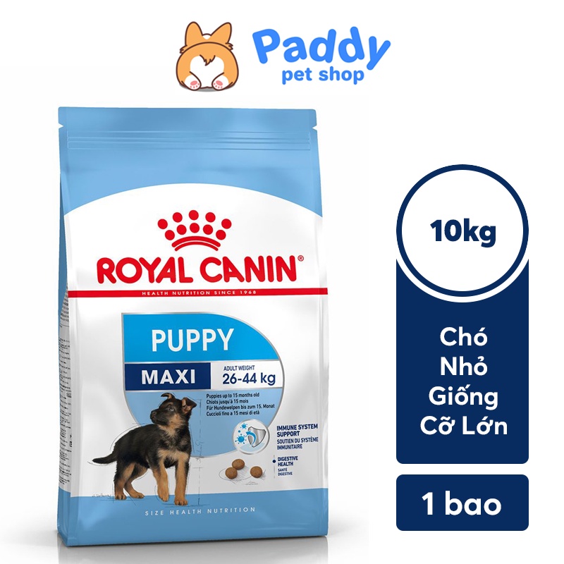 [10kg] Hạt Royal Canin Maxi Puppy Cho Chó Con Giống Lớn