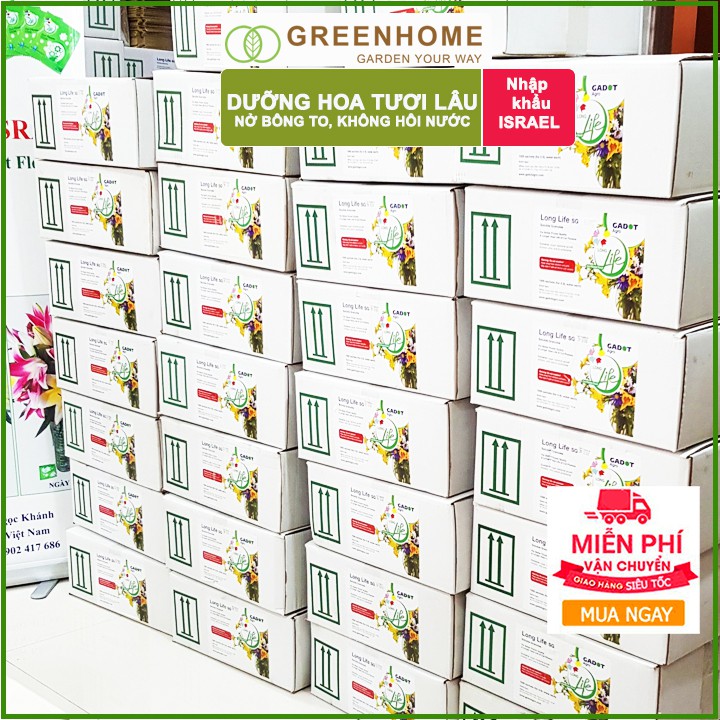 50 gói Dưỡng hoa lâu tàn Long Life, gói 5gr, hoa tươi lâu, nở bông to, không bị hôi nước |Greenhome