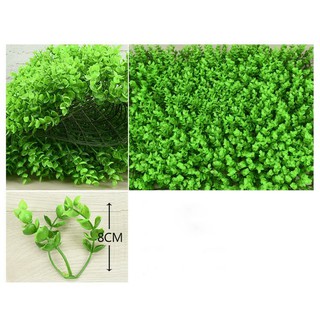 Thảm Cỏ Nhân Tạo Tai Chuột