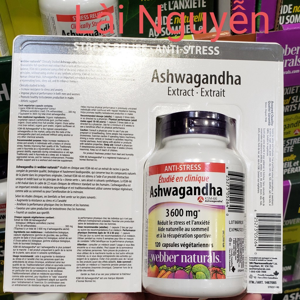 Viên Uống Nhân Sâm Ấn Độ Ashwagandha của Webber Natural 3600mg 120 Viên. Giảm Stress hỗ trợ mất ngủ phục hồi thể lực.
