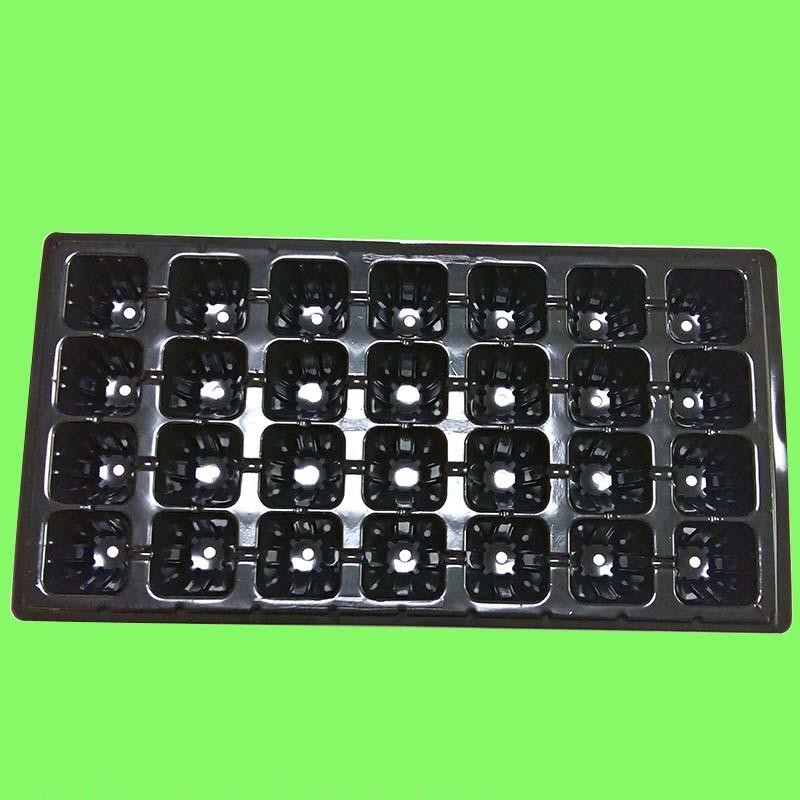 Hộp 150 khay ươm cây (Dày 1mm, nặng 120g), khay ươm hạt, vỉ ươm rau (32 lỗ)