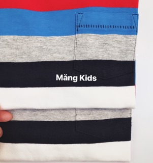 Áo Thun Bé Trai Kẻ Xanh Đỏ Gap