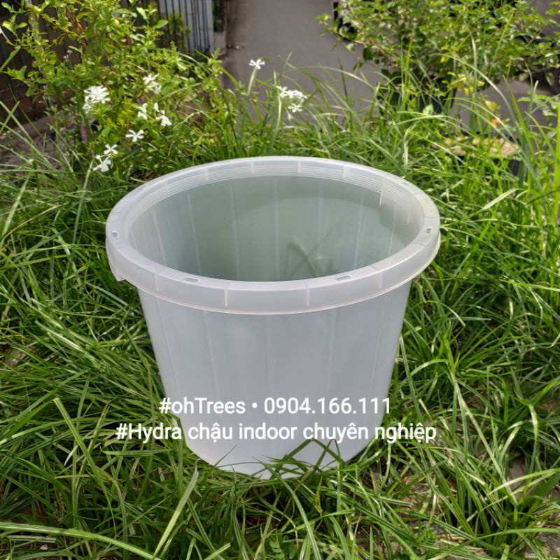 Combo 5 chậu trồng cây indoor chuyên nghiệp Hydra