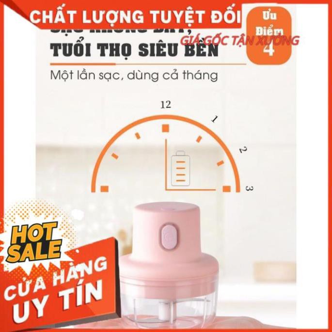 < Bán giá sỉ >Máy xay đa năng mini cầm tay dung tích 250ml -  Xay thịt gia vị tỏi ớt rau củ kèm dây sạc 