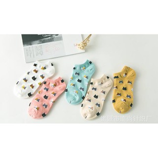 TẤT MÈO NHÍ tag mác Hàn Quốc