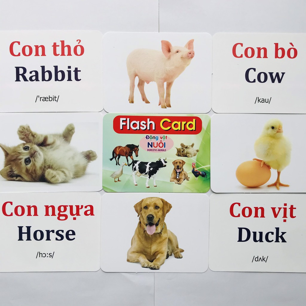 Bộ thẻ học thông minh loại to, 19 chủ đề, 282 thẻ
