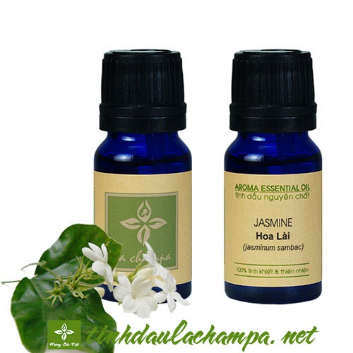 Tinh dầu hoa Lài Lachampa cao cấp, hương thơm nữ tính, ngọt ngào, thanh khiết và đặc biệt cuốn hút
