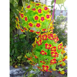 Sỉ HOA PĂNG XÊ và CÁNH NHỌN chai