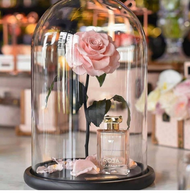 Mẫu thử nước hoa Roja Elixir 2019 Tester 5ml/10ml/20ml [𝓜𝓪𝓵𝓲𝓼𝓱𝓸𝓹] | BigBuy360 - bigbuy360.vn