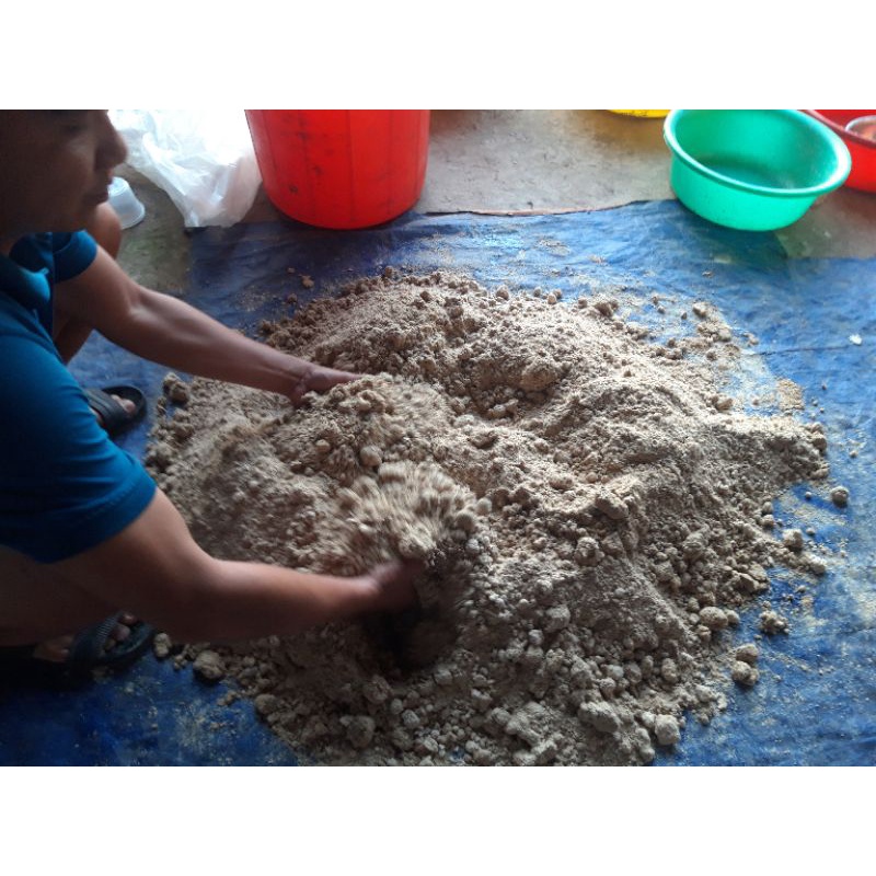 Men vi sinh ủ đạm cá