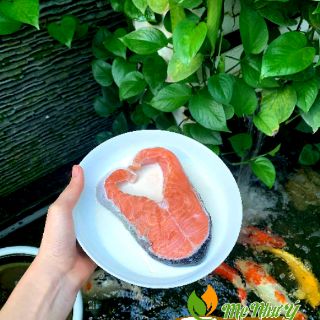 CHÀ BÔNG (RUỐC) CÁ HỒI Nhà làm