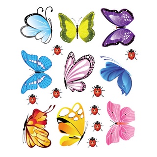 Decal dán tường decal trang trí bướm 2D