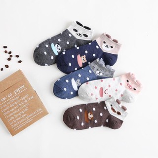 Sỉ 10 đôi tất gấu xinh