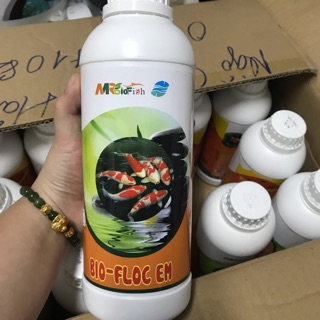 Vi sinh cho hồ cá Koi