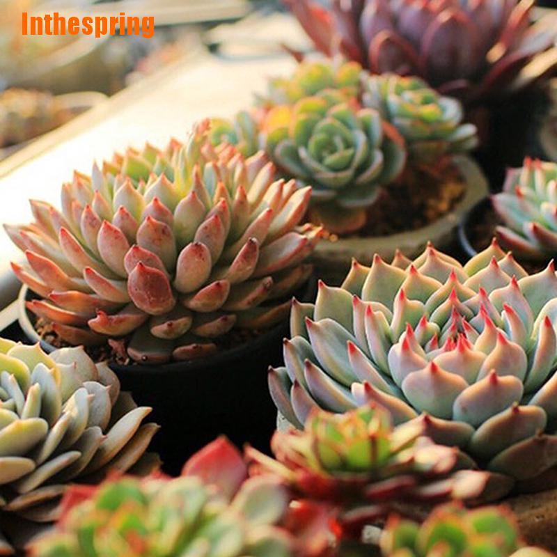 Đèn Led Dạ Quang 10w Dc 5v Chất Lượng Cao