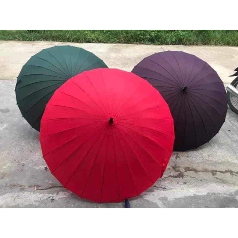 Ô DÙ 24 NAN TÁN TO