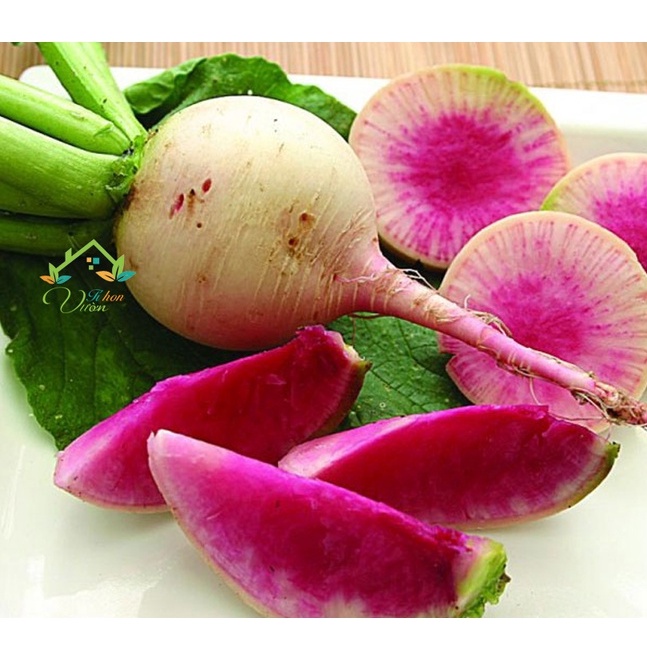 Shop 1K - Hạt Giống Củ Cải Ruột Đỏ - 30 Hạt  - Tặng kèm hạt hướng dương lùn + thuốc kích mầm rễ nhanh