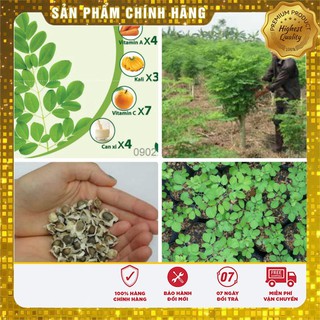 Bộ gói hạt giống Chùm ngây