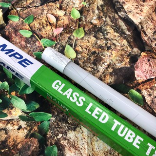 Bóng đèn led tube mpe 1m2