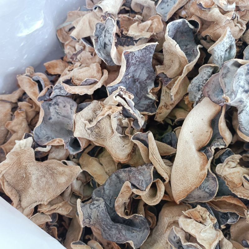 Mộc nhĩ rừng 0.5 kg -  Đặc sản Yên Bái