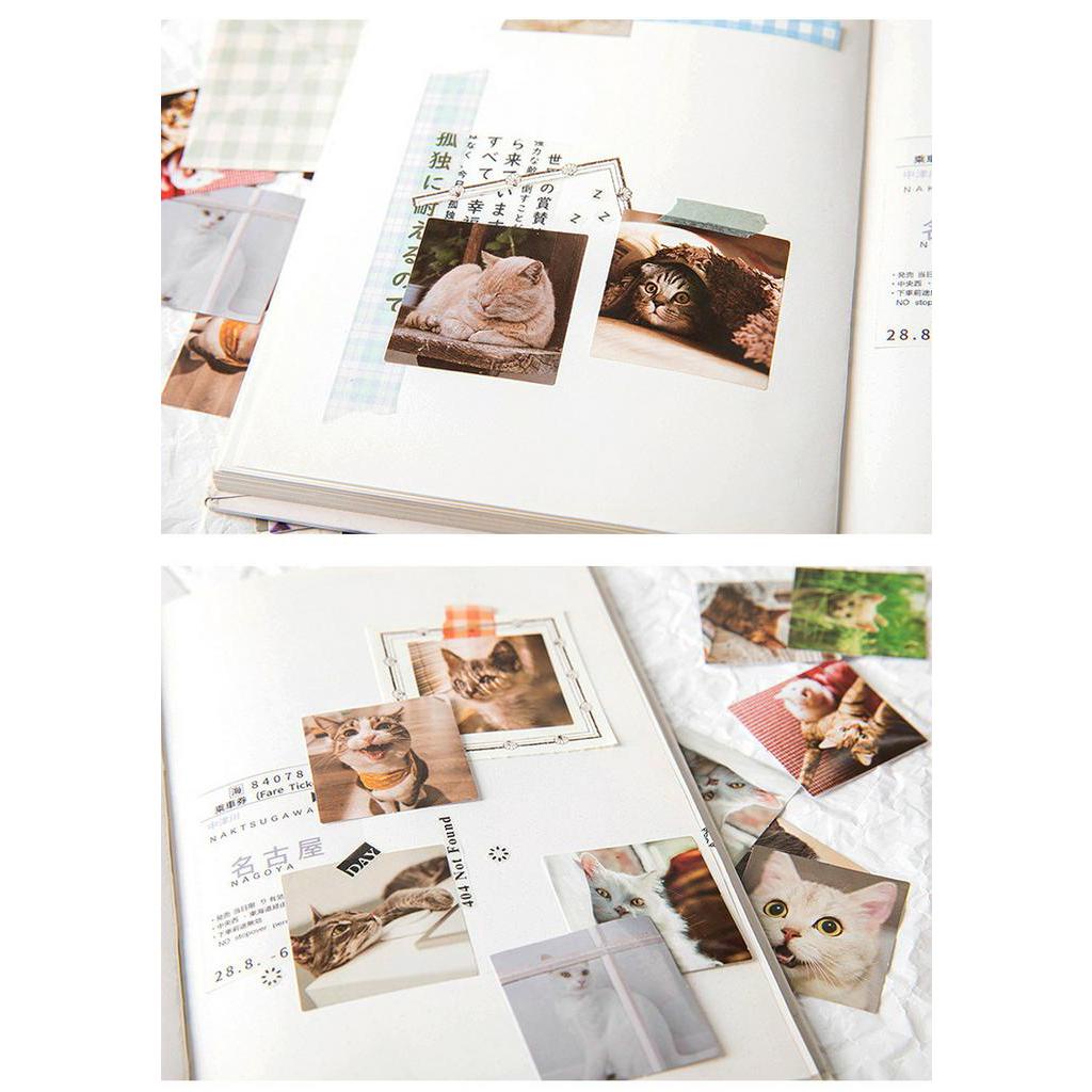 Set 46 Miếng Dán Trang Trí Hình Mèo Dễ Thương
