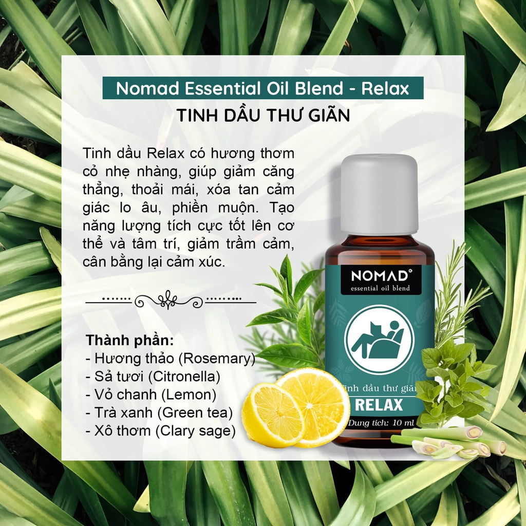 Tinh Dầu Hỗn Hợp Nomad Essential Oil Blend 10ml - Thư Giãn, Giấc Ngủ Sâu, Giảm Lo Âu, Khử Mùi