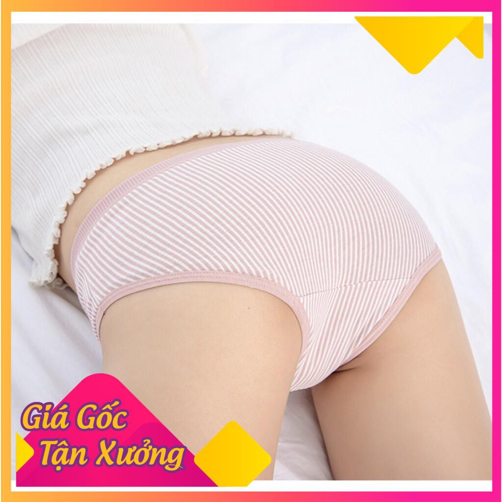  Quần Lót Nữ Cotton Kẻ Sọc Mềm Mát, Co Dãn, Thấm Hút Mồ Hôi (38-65kg) 031 | BigBuy360 - bigbuy360.vn