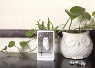Bài Tarot The Wild Unknown
