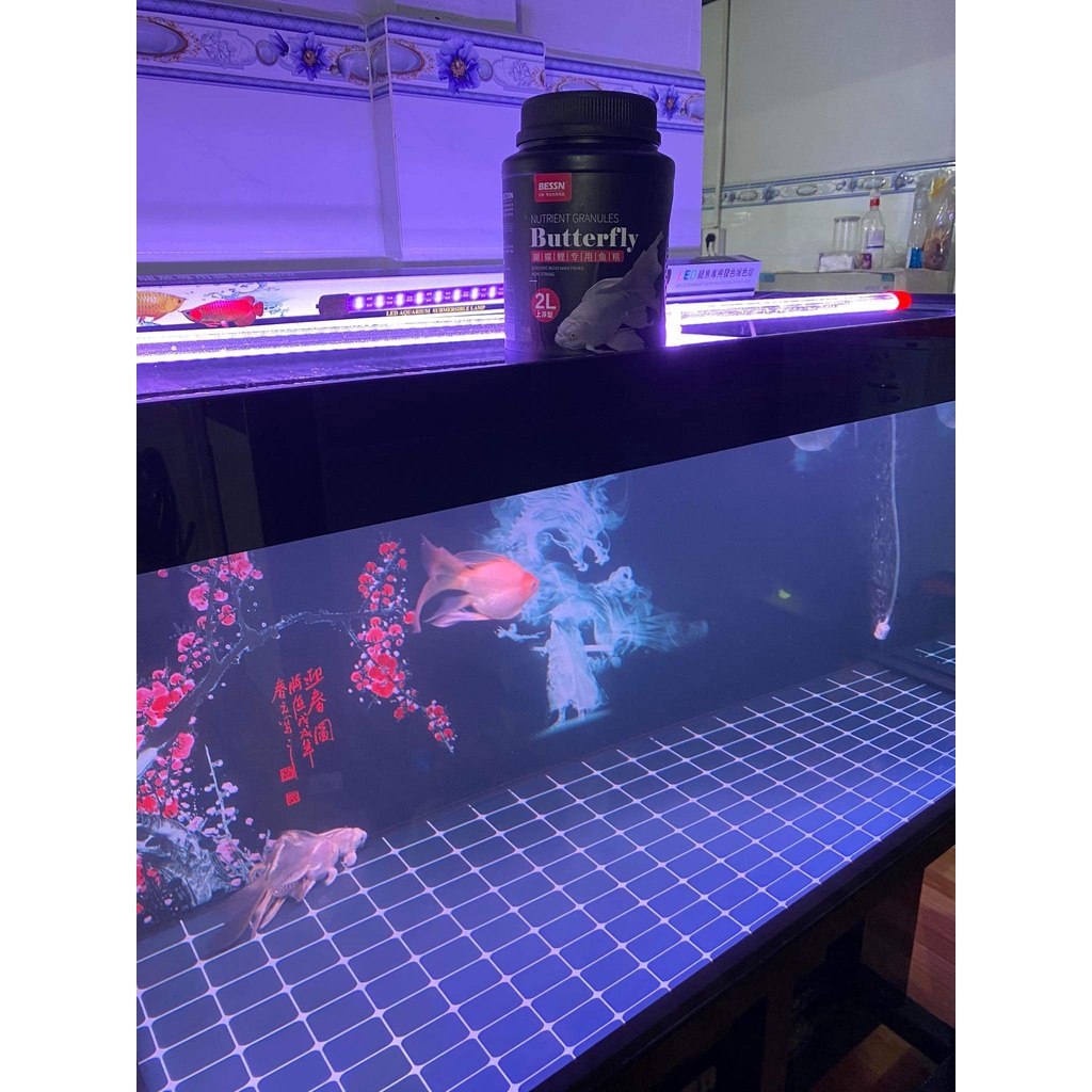 BESSN -Thức ăn cho cá Chép Sư tử, chép bướm.