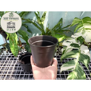 ☘️ chậu nhựa đen trồng lan - chậu bít lỗ 12cm