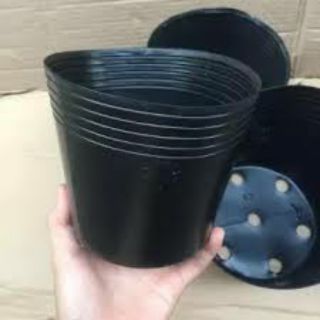 Combo 100 Chậu Nhựa C8