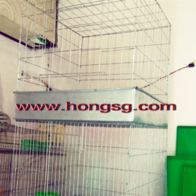 Lồng úp gà 60 vuông +khay tole /250k cả bộ .