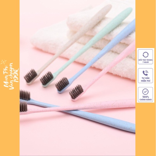 Set 10 cây bàn chải đánh răng lúa mạch tiện ích thân thiện với môi trường 88071 NGUYỄN TÙNG