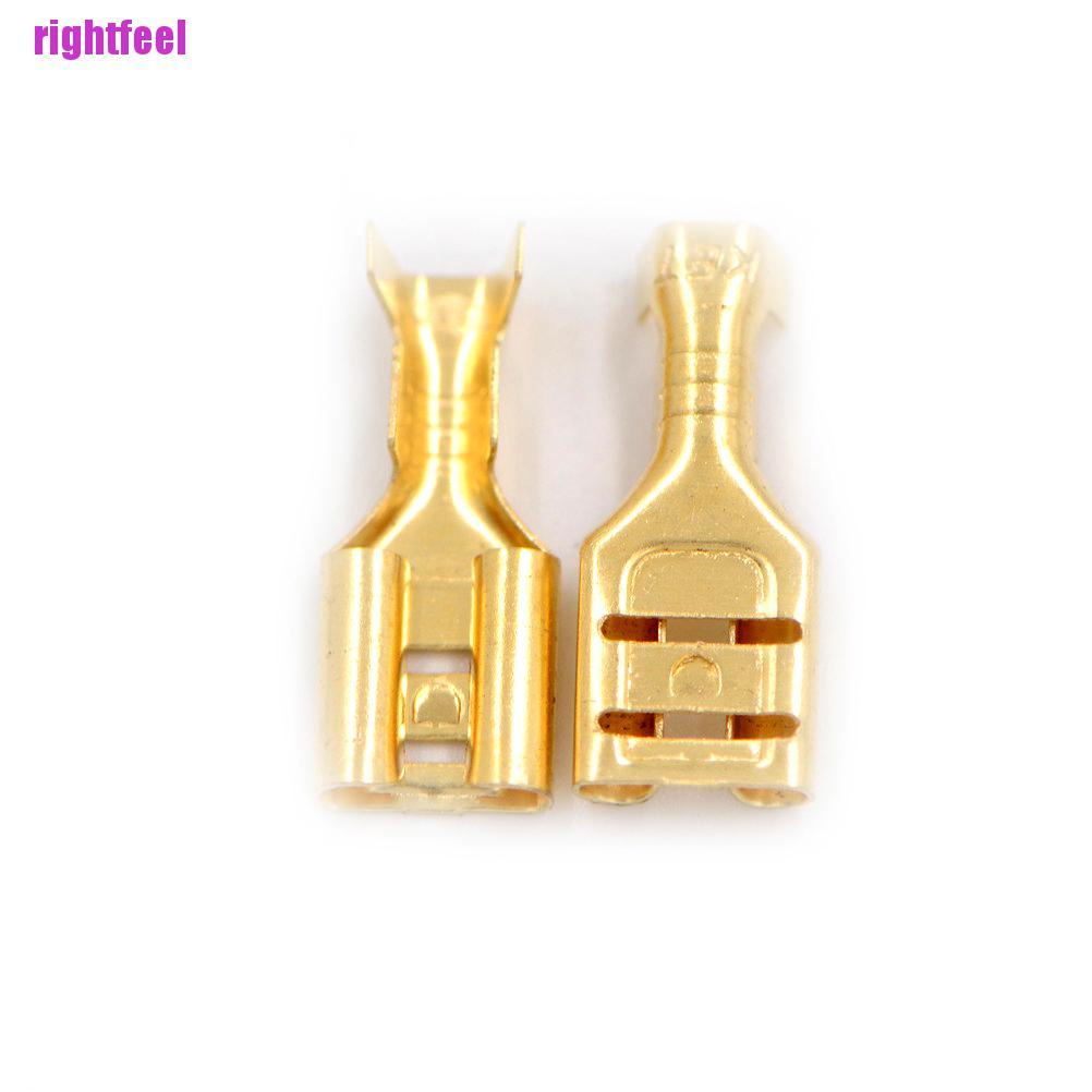 Bộ 100 Đầu Nối Dây Điện 6.3mm Chuyên Dụng Cho Xe Hơi