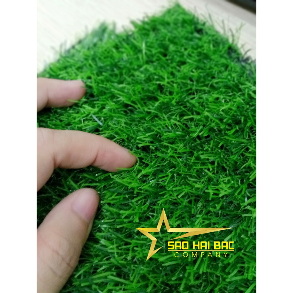 Thảm cỏ nhân tạo 2cm giá rẻ | Cỏ nhân tạo HN | Sao Hải Bắc