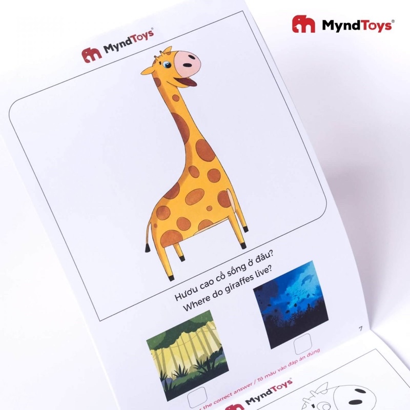 Đồ chơi giáo dục, bộ tranh tô màu cho bé từ 2 tuổi - Myndtoys Color Cool