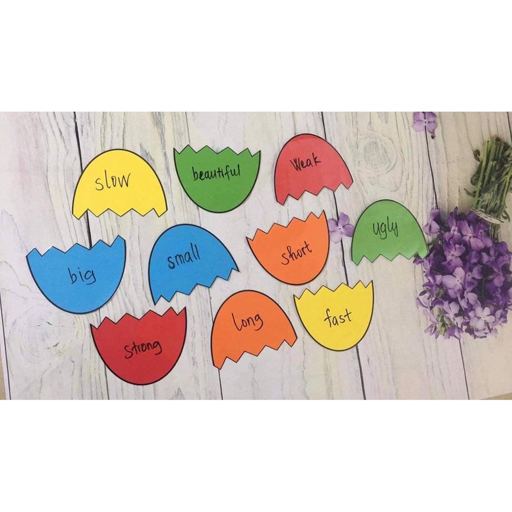 Set 5 trứng ép plastic A4 - giáo cụ dạy học hấp dẫn