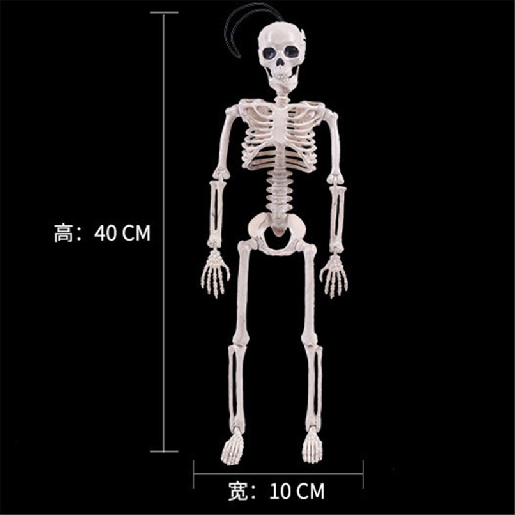 Bộ Xương Người Kinh Dị Trang Trí Halloween