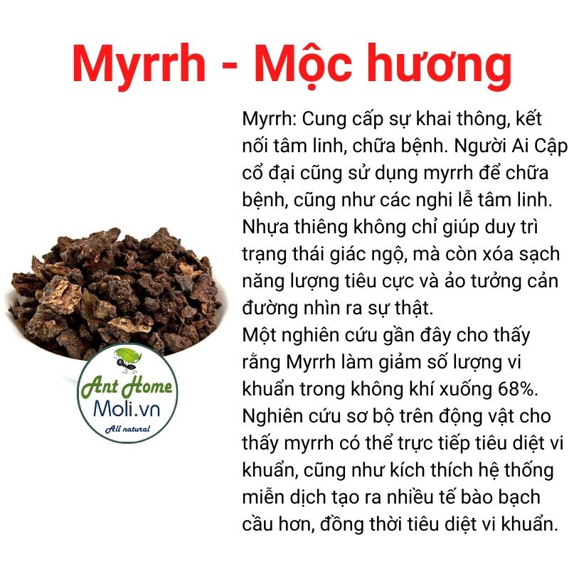 Nhựa cây Palo santo gỗ thánh Peru - Gỗ trắc xanh thanh tẩy