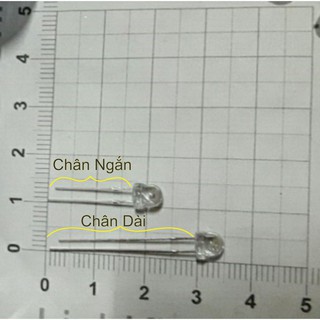 Bóng đèn LED rời_ Chân dài hoặc Chân ngắn (gói 100con) Hàng tốt