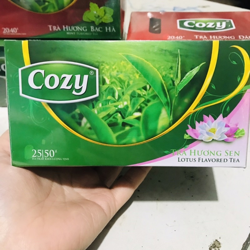 Trà Cozy Túi Lọc Đào/ Dâu 20 gói